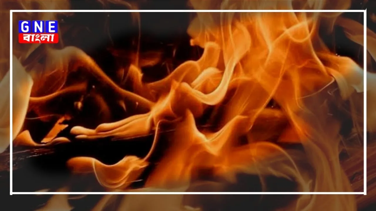 Jhargram: অগ্নিদগ্ধ হয়ে তরুণী বধূর মৃত্যু