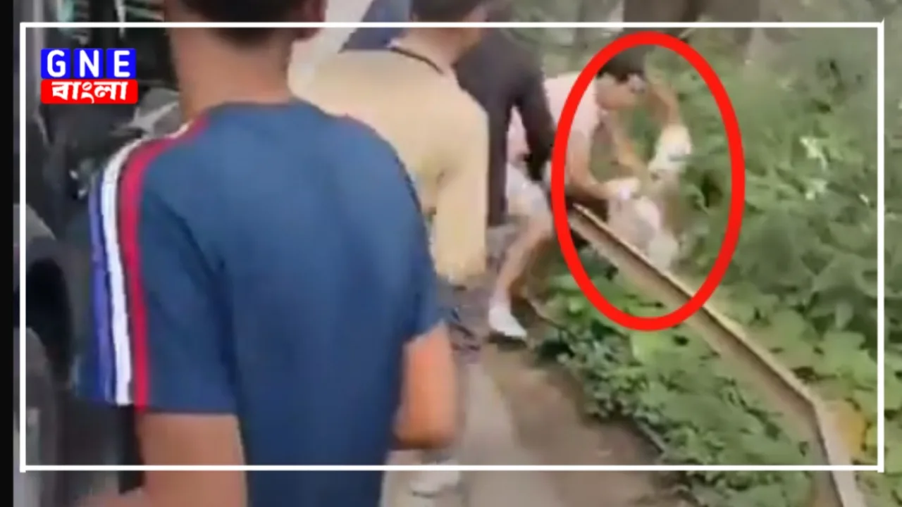 Viral Video: বেড়াতে গিয়ে একী কান্ড! পর্যটককে ছুঁড়ে ফেললেন জঙ্গলে, দেখলে চমকে যাবেন