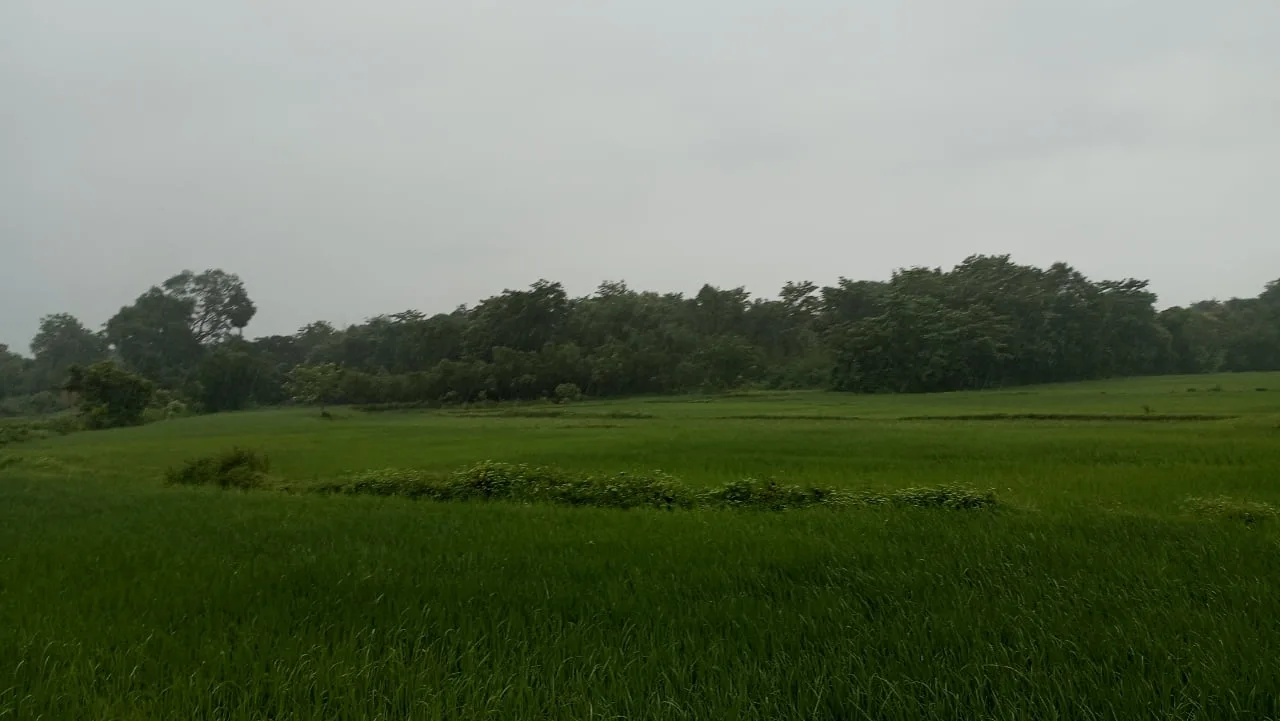 Weather Update 22/10/2024 : জঙ্গলমহলের আবহাওয়া আজ এই রকমের থাকতে পারে